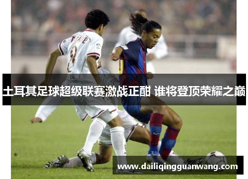 土耳其足球超级联赛激战正酣 谁将登顶荣耀之巅