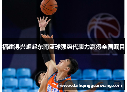 福建浔兴崛起东南篮球强势代表力赢得全国瞩目